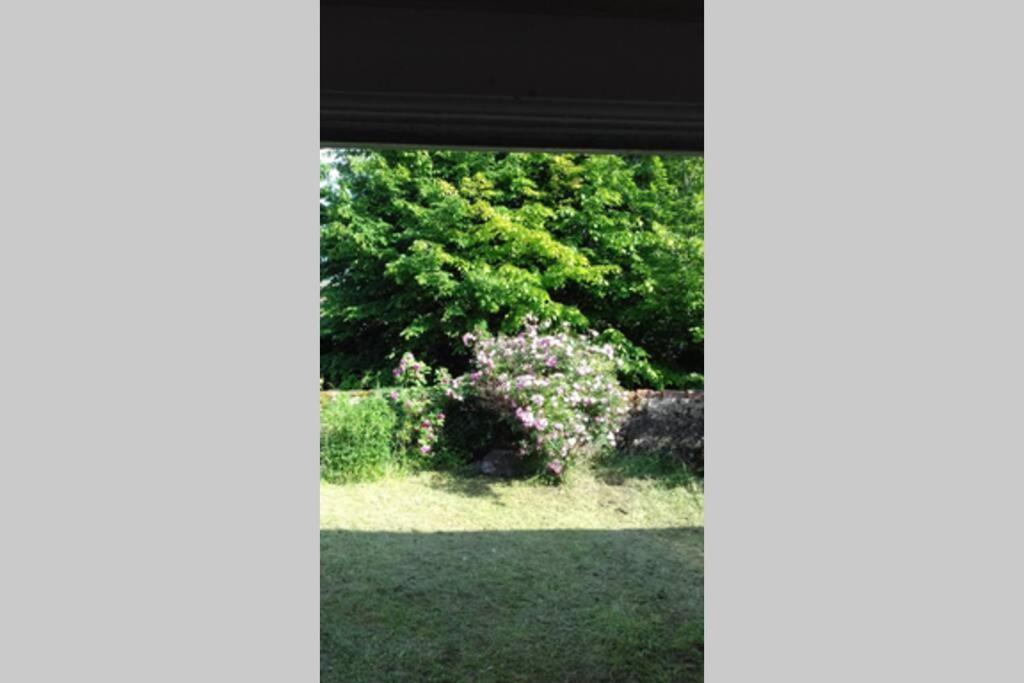 Jardin De Cure Cluny Exterior foto
